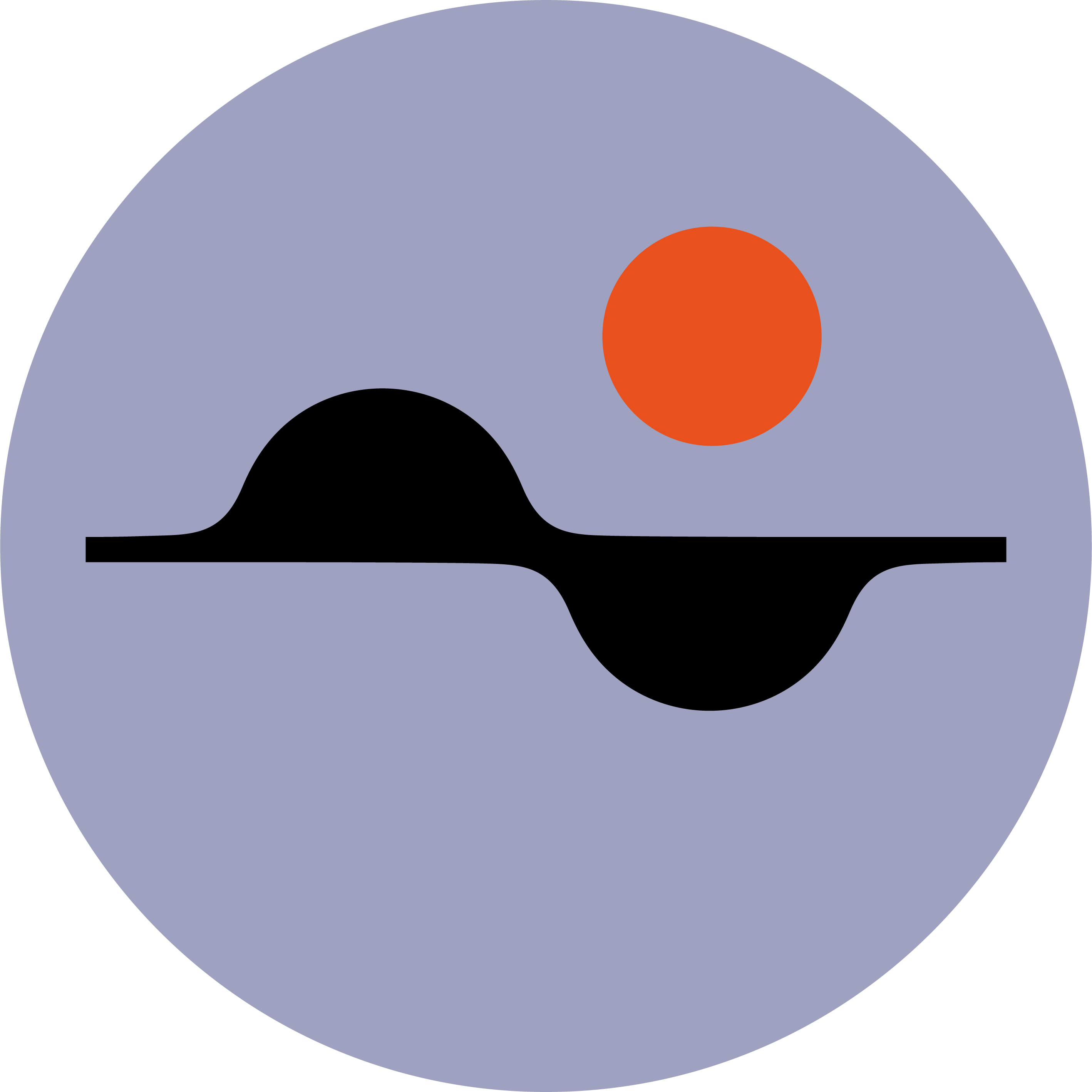 Johannes Wimmer